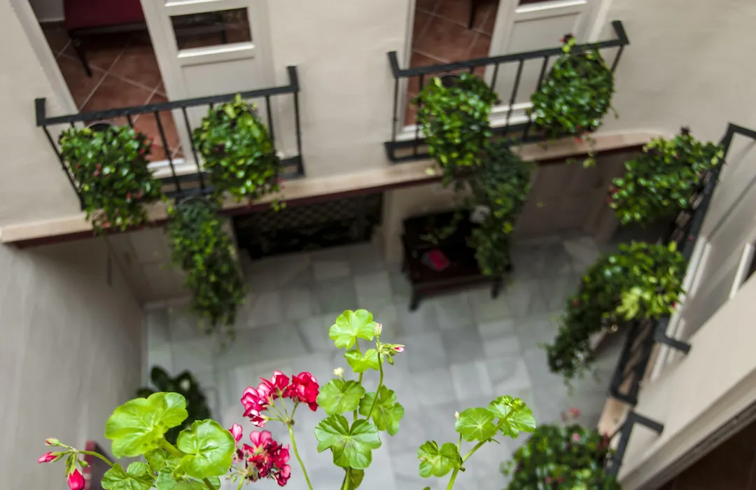 Hostal Callejon Del Agua-1